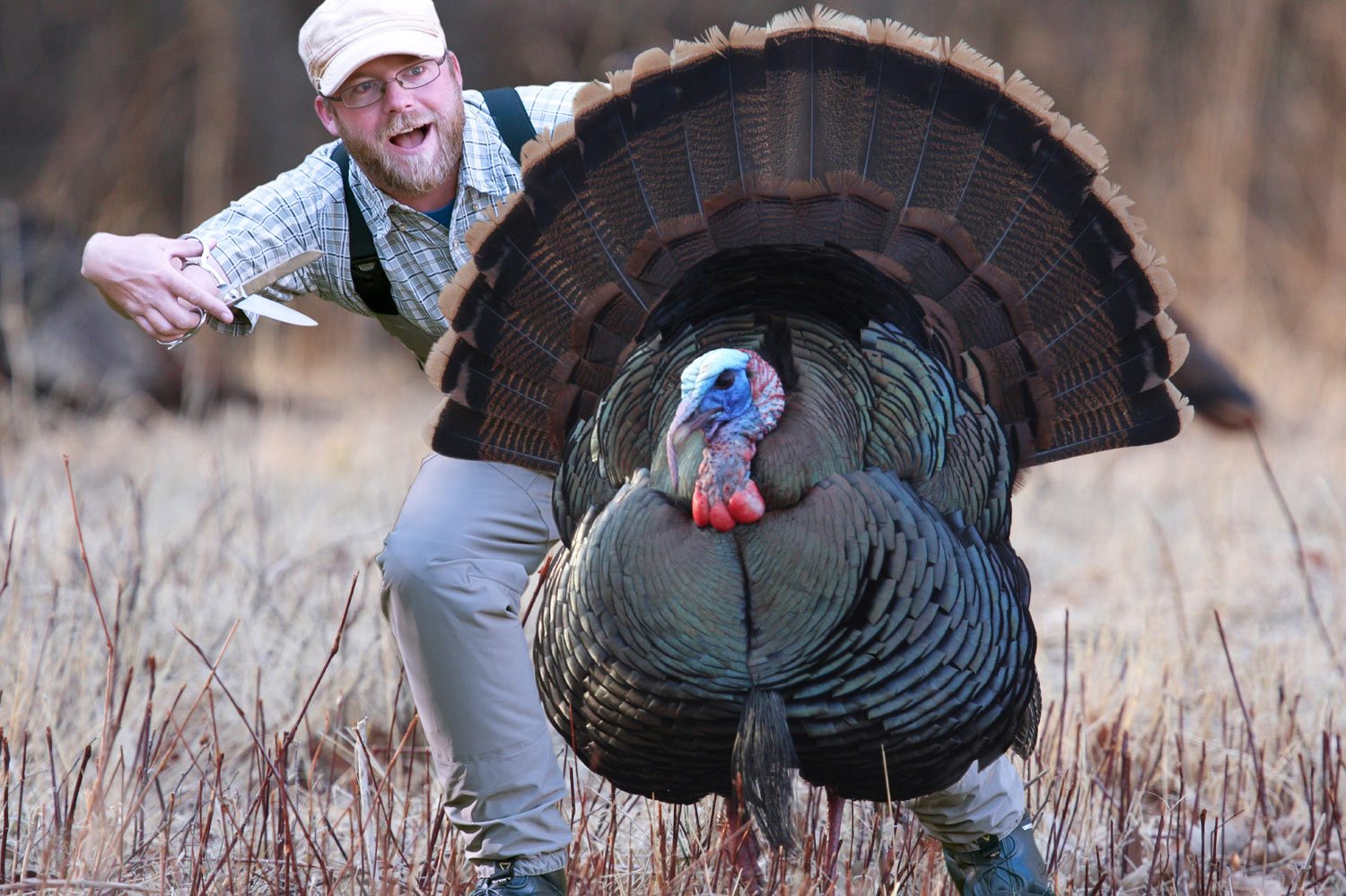 Gobble Gobble – Turkey's Multiple Uses In Fly Tying - Fly Fishing